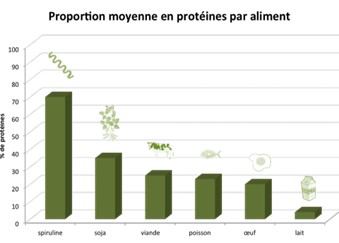 Spiruline du garlaban - Proportion moyenne en protéines par aliment